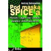 Under the SPICE mask - methods and algorithms