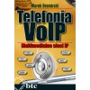 VoIP telephony. Multimedia IP networks