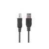 KABEL USB-A(M)->USB-B(M) 2.0 1.8M CZARNY FERRYT BOX LANBERG