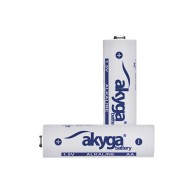 Alkaline battery Akyga AKY2069 AA LR6 Zn-MnO2, 1.5V/3050mAh 4pcs/shrink