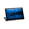 5inch DSI LCD (C)