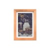 PhotoPainter (B)