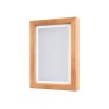 PhotoPainter (B)