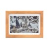 PhotoPainter (B)