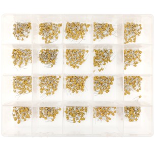 Set of 1000 Monolithic Ceramic Capacitors 50 V in 20pcs