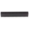 Goldpin 2x20 PIN 2.54 mm SMT female connector