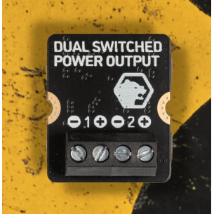 Dual Switched Power Output - 2-channel module with power outputs