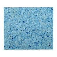 Sponge – front view