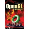 OpenGL in practice