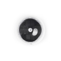 Widok z góry