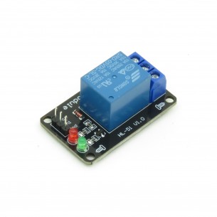 Module with 10A/250VAC  (10A/24VDC) relay