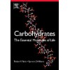 Carbohydrates: The Essential Molecules of Life