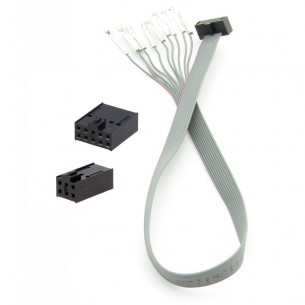 The cable for the ATMEL ICE programmer in the set with 10-pin and 6-pin connectors