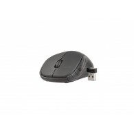 MY-B-TRA-009 mouse