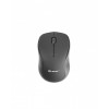MY-B-TRA-009 mouse