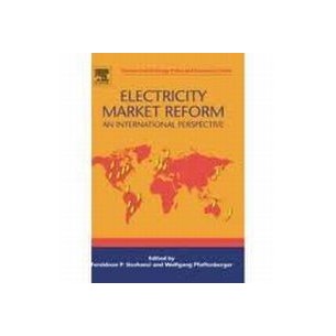 Electricity Market Reform