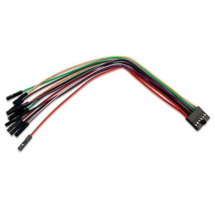 Flywires cable 2x6 for Digital Discovery