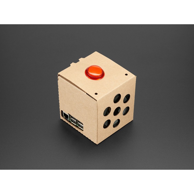 Google AIY Voice Kit - a set of voting assistant for Raspberry Pi