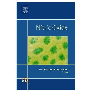 Nitric Oxide