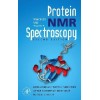 NMR protein Spectroscopy