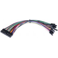 2x15 Flywires: Signal Cable Assembly for the OpenScope MZ