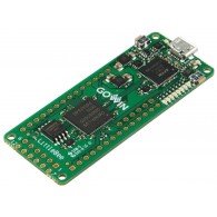 Evaluation kit with GOWIN LittleBee FPGA and 8MB SDRAM