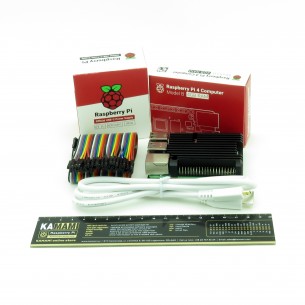 Raspberry Pi Pico with Raspberry Pi 4B 4GB kit