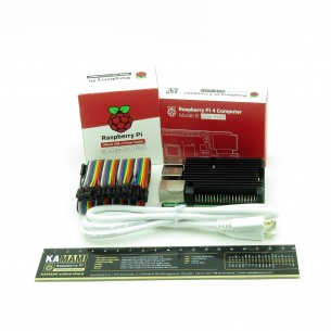 Raspberry Pi Pico with Raspberry Pi 4B 8GB kit