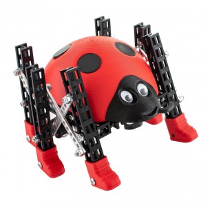 Totem Ladybug - a set for building a 6-legged walking robot