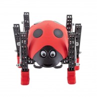 Totem Ladybug - zestaw do budowy 6-nożnego robota kroczącego