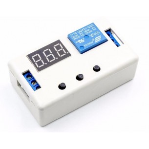 Module with a 12V relay and a timer