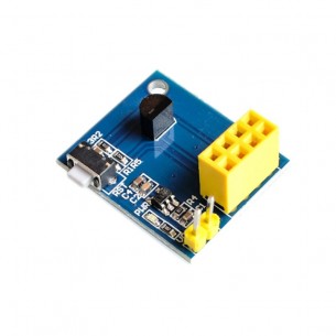 Module with DS18B20 sensor for ESP8266, ESP-01, ESP-01S