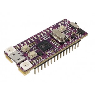 MAKER-NANO-RP2040 - board with RP2040 microcontroller