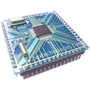NGX Technologies Blueboard-LPC2148-S