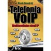 VoIP telephony. Multimedia IP networks