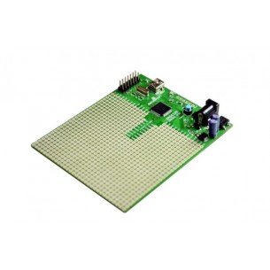 PIC32 MX Development Board - development board with PIC32MX795F512H microcontroller