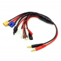 Multi-purpose charger cable for B6