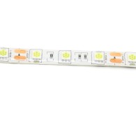 LED strip waterproof White 5050 5m (60 LED/m)