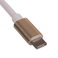 Converter adapter with cable Akyga AK-AD-56 USB type C (m) / DisplayPort (f) 15cm