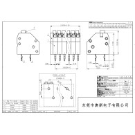 250-2.5-02P-11-00A(H) - spring terminal connector 2pin 2,5mm - 5 pcs.