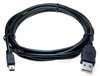 USB Cable A to Mini-B 6 ft.